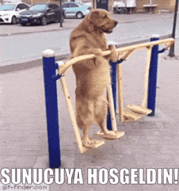 a dog is standing on its hind legs on a machine with the words sunucuya hosgeldin written below it