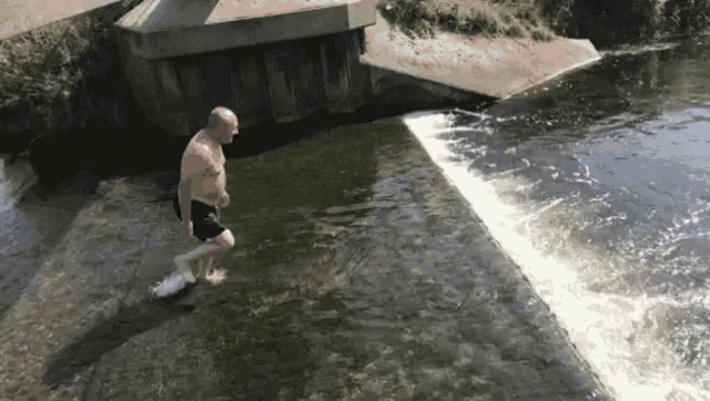 Belly Dive GIF - Belly Dive Water GIFs