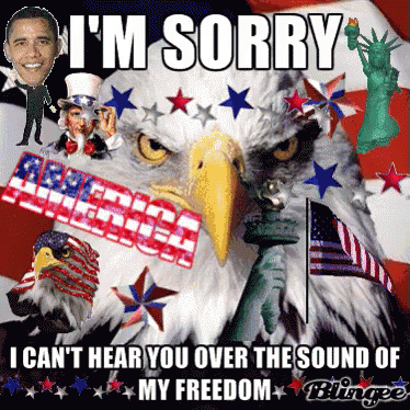 'Murica GIF - Im Sorry Barrack Obama America GIFs