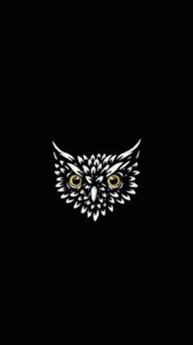 Owl Night GIF - Owl Night Look GIFs