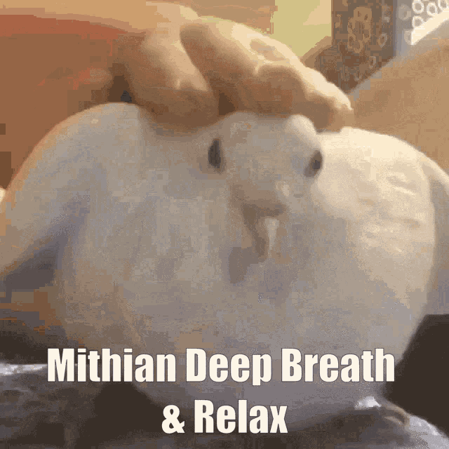 Mithian Mithian Relax GIF - Mithian Mithian Relax Mithian Calm GIFs