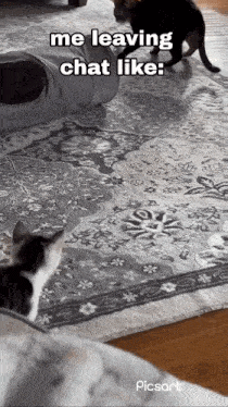 two cats are playing on a rug with the caption me leaving chat like