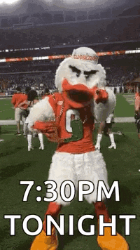 a duck mascot is standing on a football field holding a trophy .