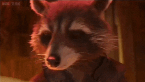 a raccoon wearing glasses is reading a newspaper in a room .