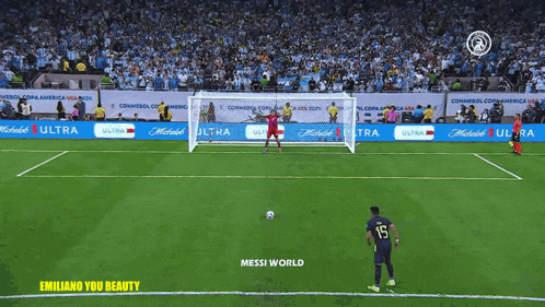 a soccer player wearing a number 15 jersey stands in front of a goal