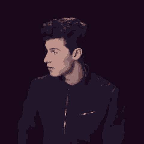 Shawn Mendes Smile GIF - Shawn Mendes Smile Crooner GIFs