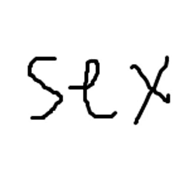 a black and white drawing of the word sex written in cursive on a white background .
