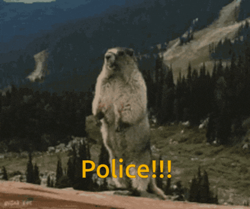 a ground squirrel standing on its hind legs with the word police written in yellow