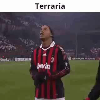 Ronaldinho Terraria GIF - Ronaldinho Terraria GIFs