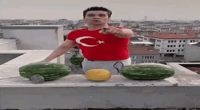 Turkey Karate GIF - Turkey Karate Water Melon GIFs