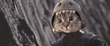 a person wearing a cat mask and a dinosaur hat is standing in front of a waterfall .