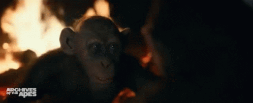 Think Pensa GIF - Think Pensa Archives Of The Apes GIFs