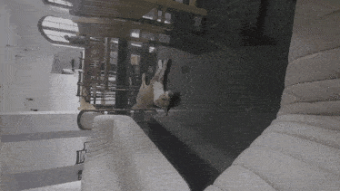a dog is laying on the floor in a room with a white couch