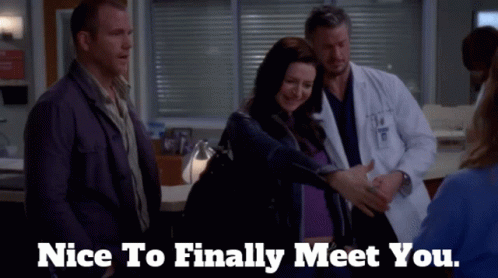 Greys Anatomy Amelia Shepherd GIF - Greys Anatomy Amelia Shepherd Nice To Finally Meet You GIFs
