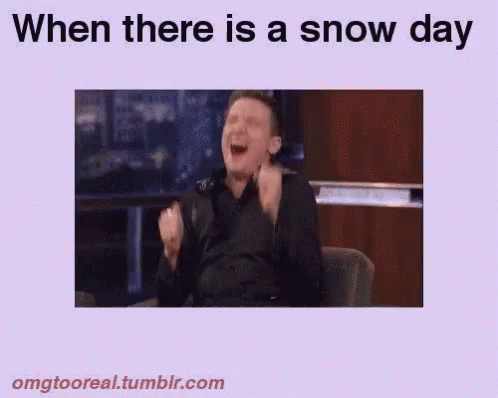 Jeremy Rener Excited GIF - Jeremy Rener Excited Snow Day GIFs