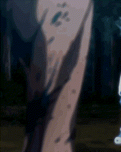 a close up of a person 's torso with a blurred background .
