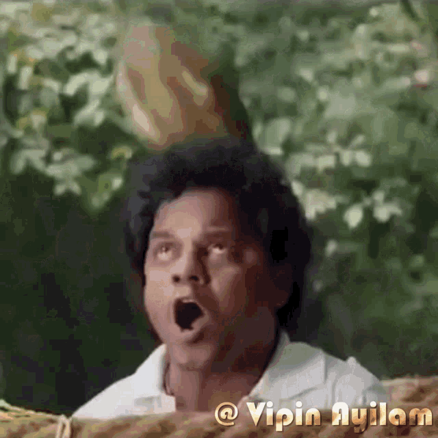Aadu Dharmajan Bolgatti GIF - Aadu Dharmajan Bolgatti Coconut Falling On Head GIFs