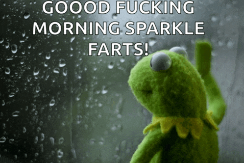 kermit the frog is looking out a window with the words good fucking morning sparkle farts below him