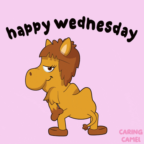 a happy wednesday greeting card with a camel