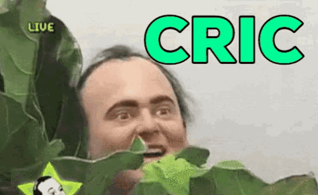 a man is holding a green leaf in front of his face and the word cric is on the screen behind him .