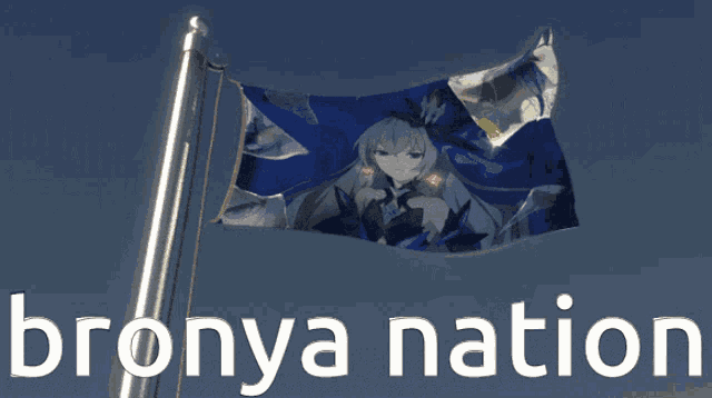 a blue and white flag with a girl on it and the words bronya nation below it