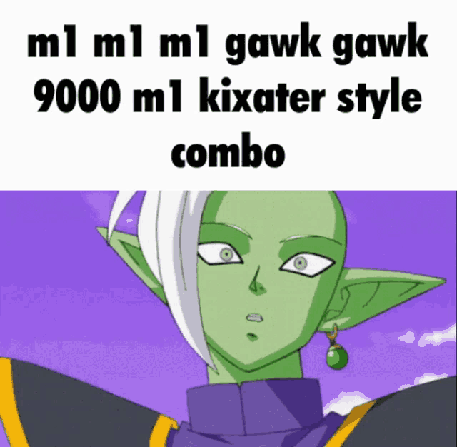a picture of a cartoon character with the words ml ml ml gawk gawk 9000 ml kixater style combo written on it