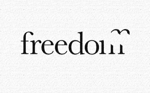 a white background with the word freedom and a bird
