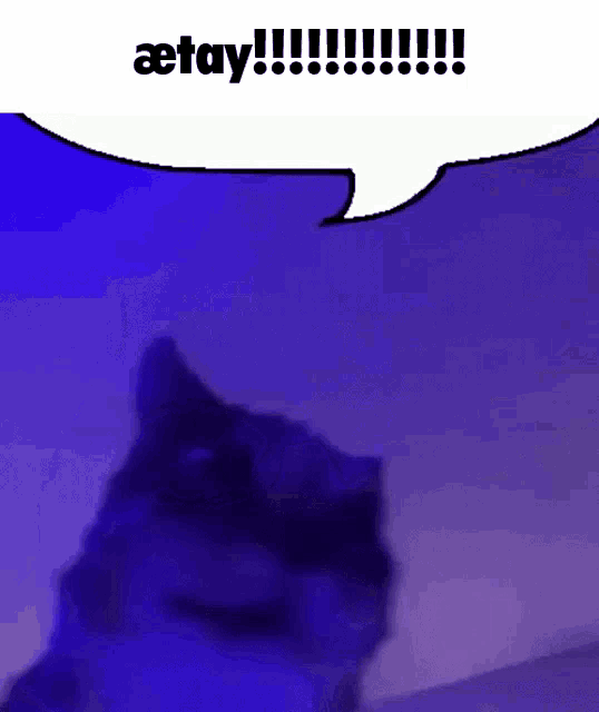 a cat is standing in front of a speech bubble that says aetay !!!