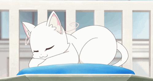 a white cat is laying down on a blue pillow