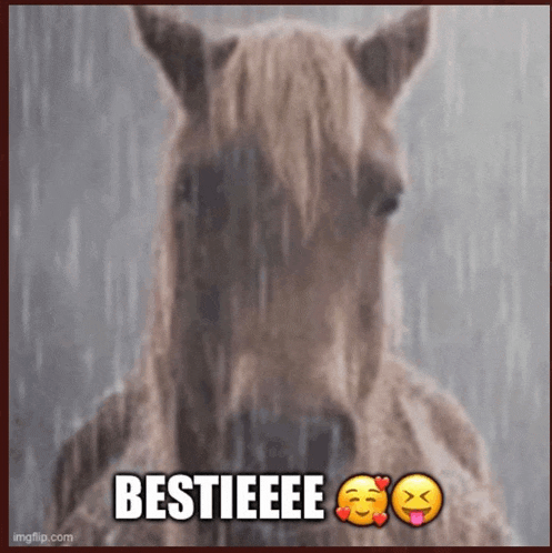 a picture of a horse with the words bestieee