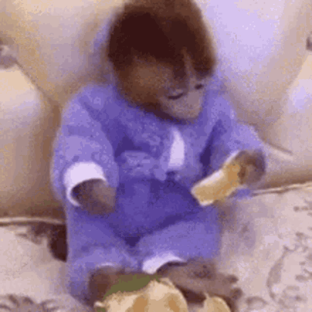 a baby monkey in a blue robe is sitting on a couch eating a piece of bread .