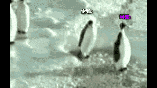 Penguin Snow GIF - Penguin Snow Walk GIFs