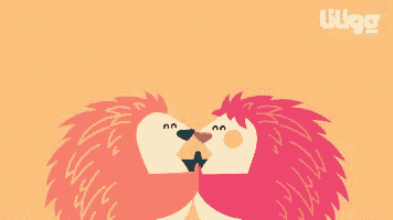 two hedgehogs are kissing each other and making a heart shape with their beaks .