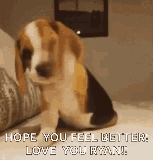 Excited Dog GIF - Excited Dog Puppy GIFs