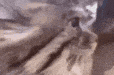 a close up of a blanket with a blurred background