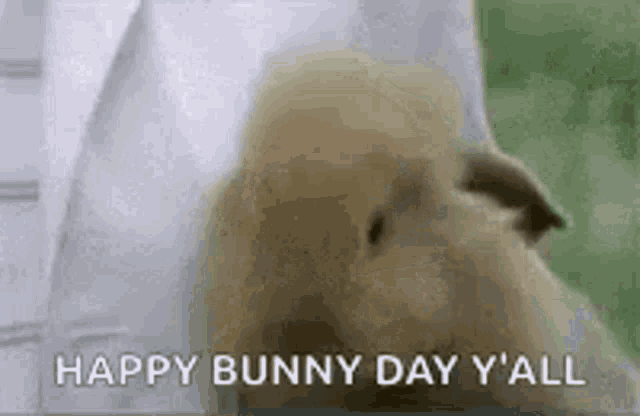 a rabbit is laying down on a bed with the words `` happy bunny day y 'all '' written on it .