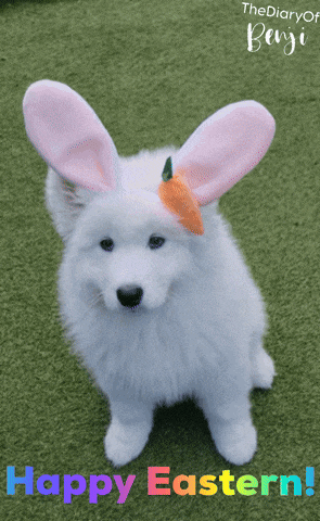 a white dog with bunny ears and a carrot on its head says happy easter
