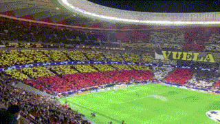 a soccer field with a banner that says vuela