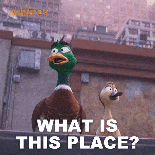 What Is This Place Mack Mallard GIF - What Is This Place Mack Mallard Pam Mallard GIFs