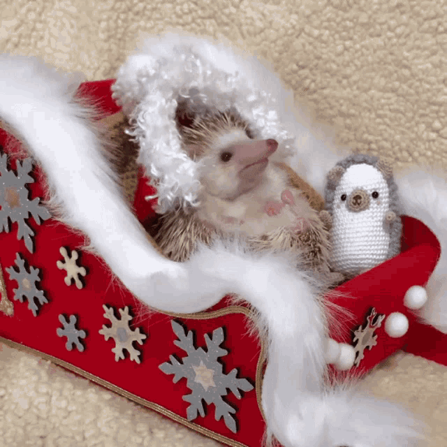 a hedgehog wearing a santa hat is sitting in a red sleigh