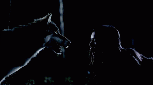 Elena Gilbert Werewolf GIF - Elena Gilbert Werewolf The Vampire Diaries GIFs