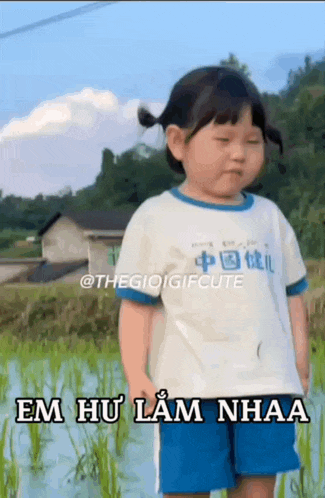 a little girl is standing in a field of rice .