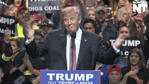 donald trump is giving a speech in front of a crowd