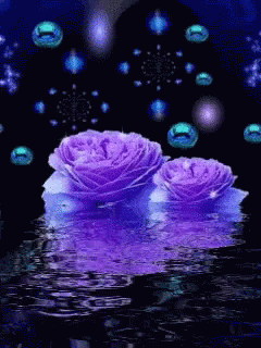 Flower Rose GIF - Flower Rose Water GIFs