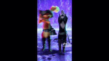 a cat is dancing in front of a purple background with tiktok written at the bottom
