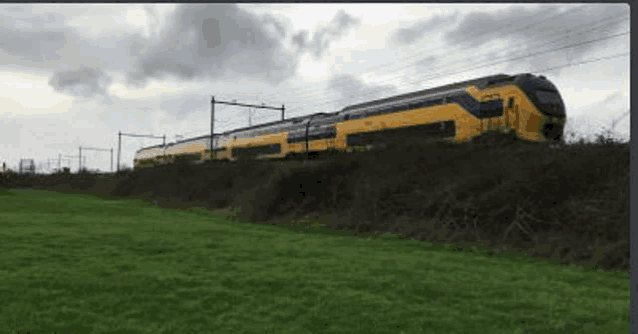 a yellow and blue train is going down the tracks in a grassy field .