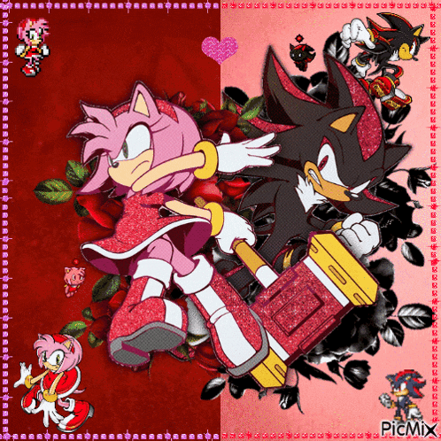 a picture of amy and shadow from the sonic the hedgehog series