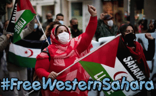 Sahara Occidental Sahara Libre GIF
