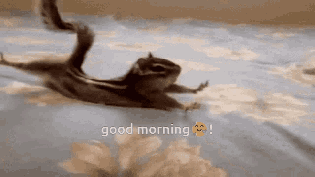 a chipmunk is flying over a bed with the words good morning written on the bottom