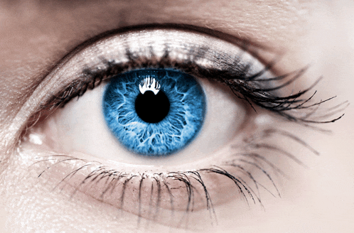 a closeup of a woman 's blue eye with long eyelashes